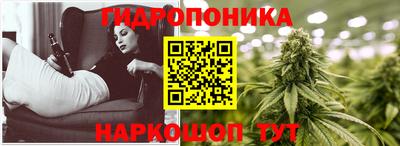 PSILOCYBIN Моздок