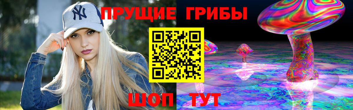 как найти закладки  Вход с VPN  Галлюциногенные грибы Magic Shrooms  Подольск  Галлюциногенные грибы Psilocybe 